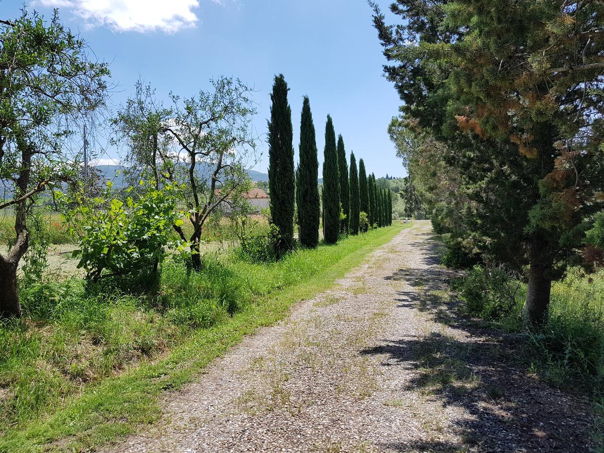 Agriturismo Bio Le 4 Stagioni Porrona Εξωτερικό φωτογραφία